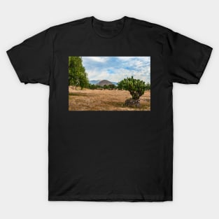 Teotihuacan, Mexico. T-Shirt